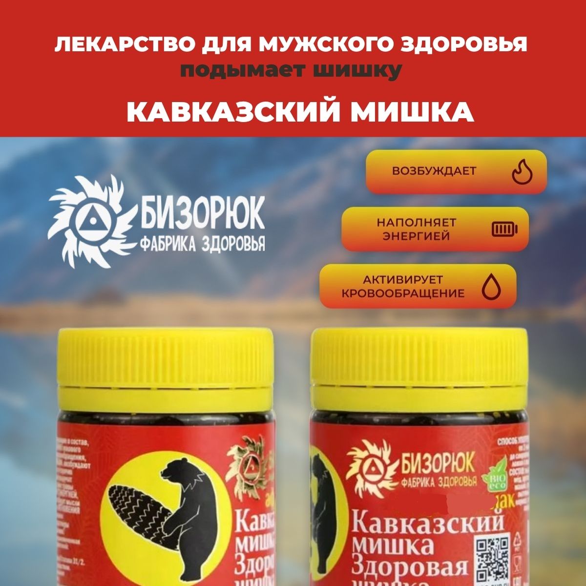 Кавказский мишка — Здоровая шишка